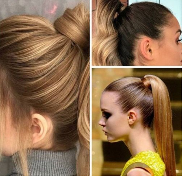 [Тина Паникар] Афрохвост Шиньон (2026)_0.png